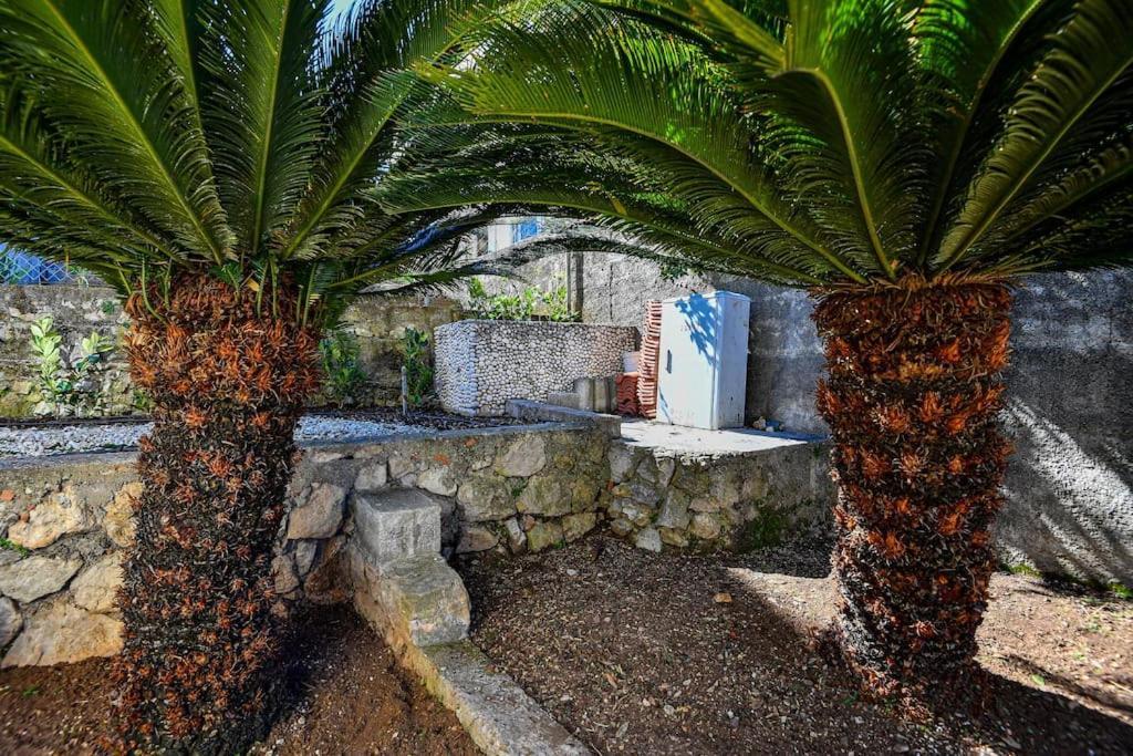 Tere Apartment Dubrovnik Exterior photo